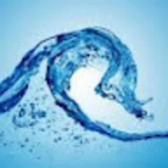 Meet your Posher, Howard - Picture 1 of 1